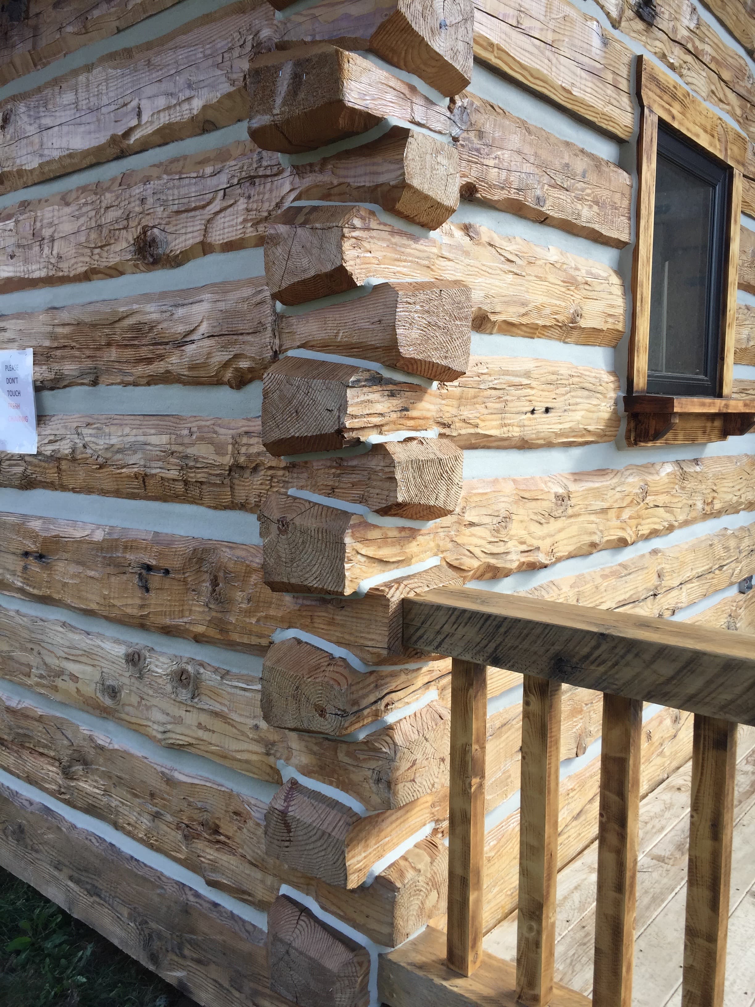 Close view of Douglas fir dovetail log cabin corner joinery.