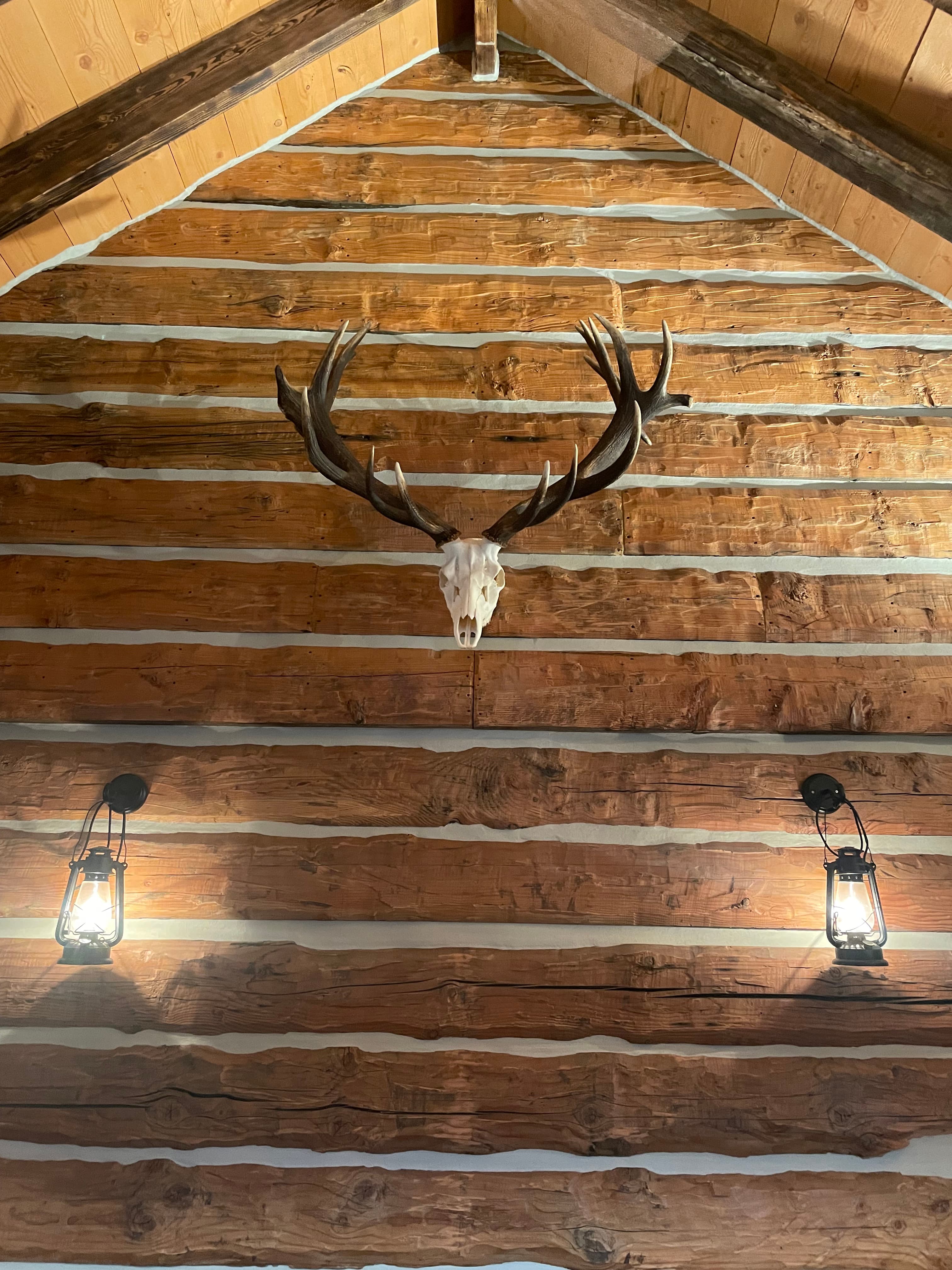 Log cabin cathedral ceiling with exposed beams, wood ceiling boards, and antler mount.